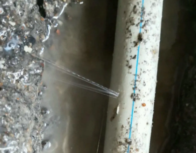 栾城测漏水哪家好