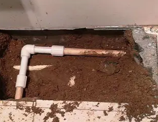 栾城测漏水哪家好