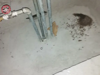 栾城卫生间测漏水价格明细